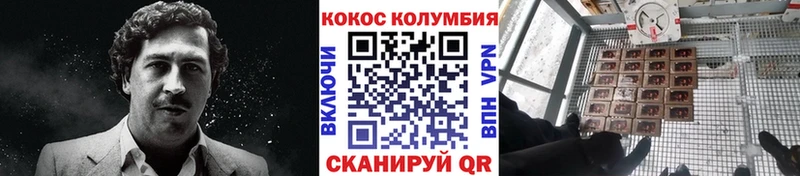 где найти блэк спрут ссылка Кокаин Эквадор Суздаль