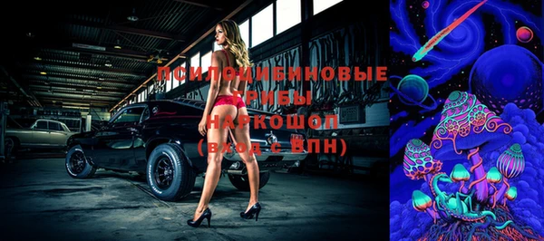 дурь Арсеньев