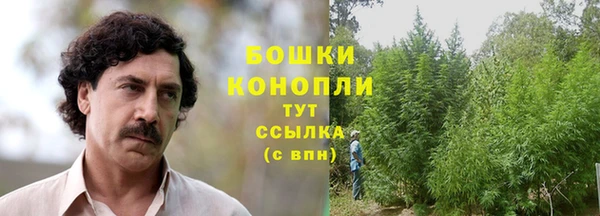 дурь Арсеньев